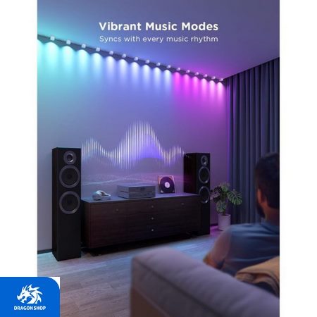 ریسه هوشمند Govee RGBIC String Downlights H608A