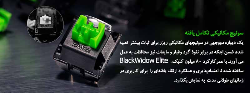 BLACKWIDOW ELITE ORANGE SWITCH