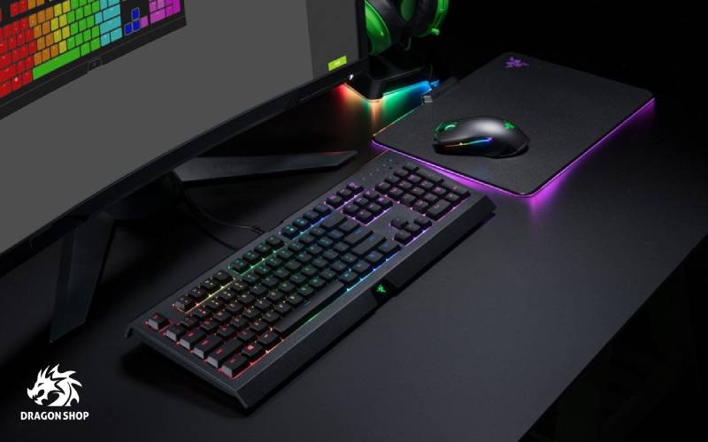 خرید باندل کیبورد و موس ریزر Razer Cynosa Lite Keyboard Abyssus Lite Mouse Bundle