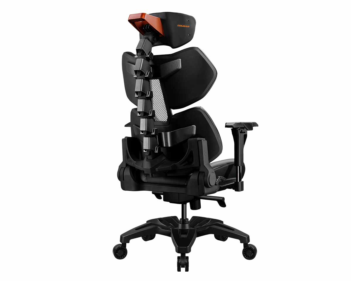 cougar terminator chair