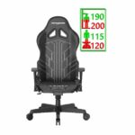 صندلی دی ایکس ریسر گلادیاتور Dxracer Gladiator D8000-N