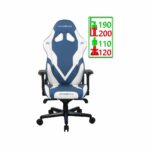 صندلی گیمینگ گلادیاتور Dxracer Gladiator OH/D8200/BW