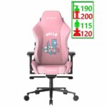 صندلی گیمینگ دی ایکس ریسر کرفت Dxracer Craft Series D5000-P Hello Human Cat