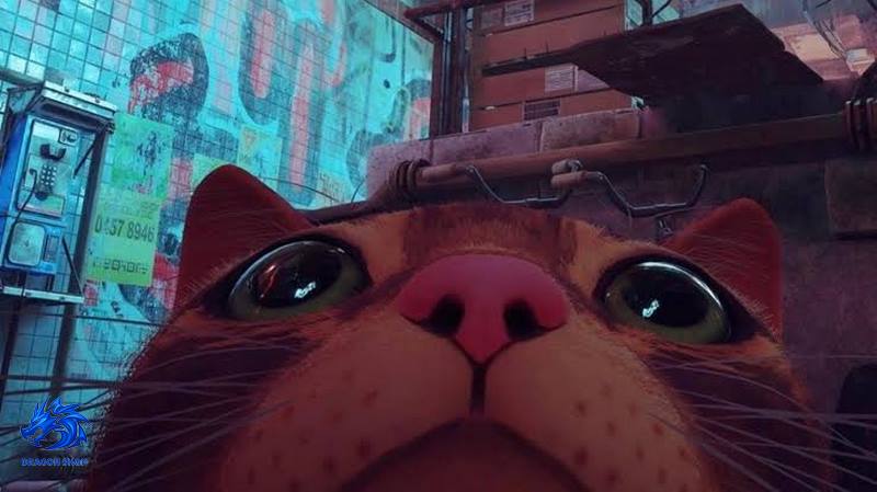 دیسک بازی Stray برای PS5 دیسک بازی Stray برای PS5