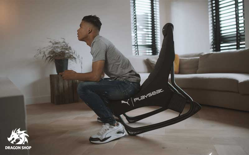 معرفی صندلی گیمینگ Playseat Puma Active Gaming Chair