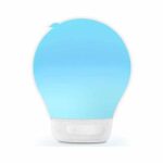اسپیکر دیووم Divoom Speaker Aurabulb White
