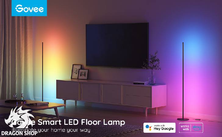 چراغ هوشمند گووی Govee RGBIC Floor Lamp Lyra
