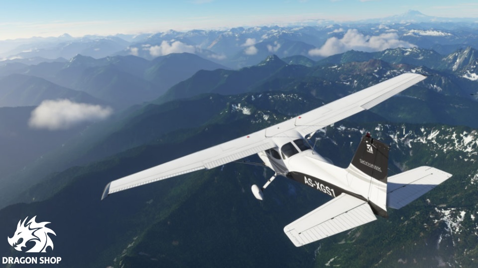 Microsoft Flight Simulator