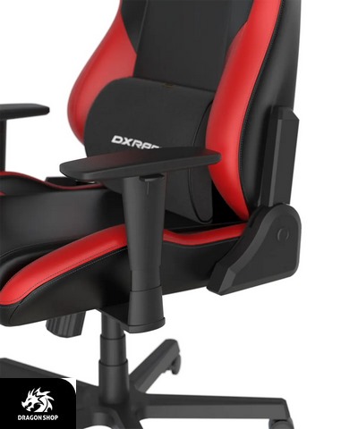 صندلی گیمینگ Dxracer Drifting 2023 L NR