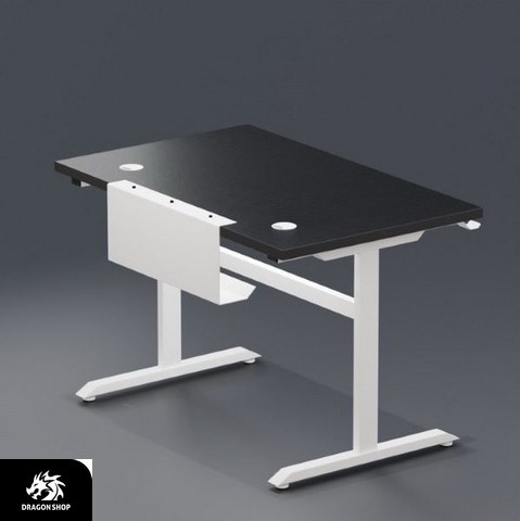 میز گیمینگ اوتانا Gaming Desk OWTANA Ghost Edition