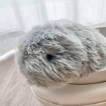 خرید ربات هوشمند Moflin Silver AI Pet Robot