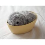 خرید ربات هوشمند Moflin Silver AI Pet Robot