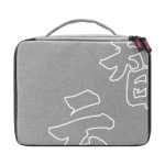 خرید کیت ویدئو لایت Zhiyun MOLUS X100 Bi-Color Pocket Pro Kit