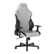 خرید صندلی گیمینگ DXRacer Drifting Series 2025 L Winter