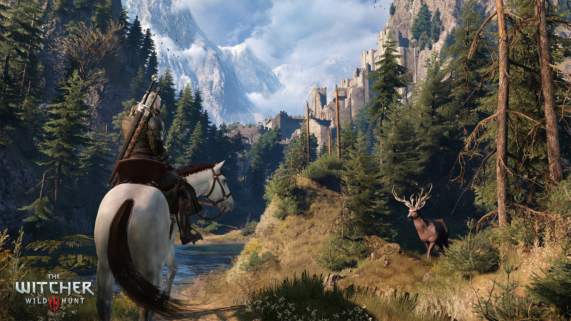 تصویری از بازی The Witcher 3: Wild Hunt