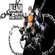 خرید اكانت BLEACH Rebirth of Souls ظرفيت دوم PS5