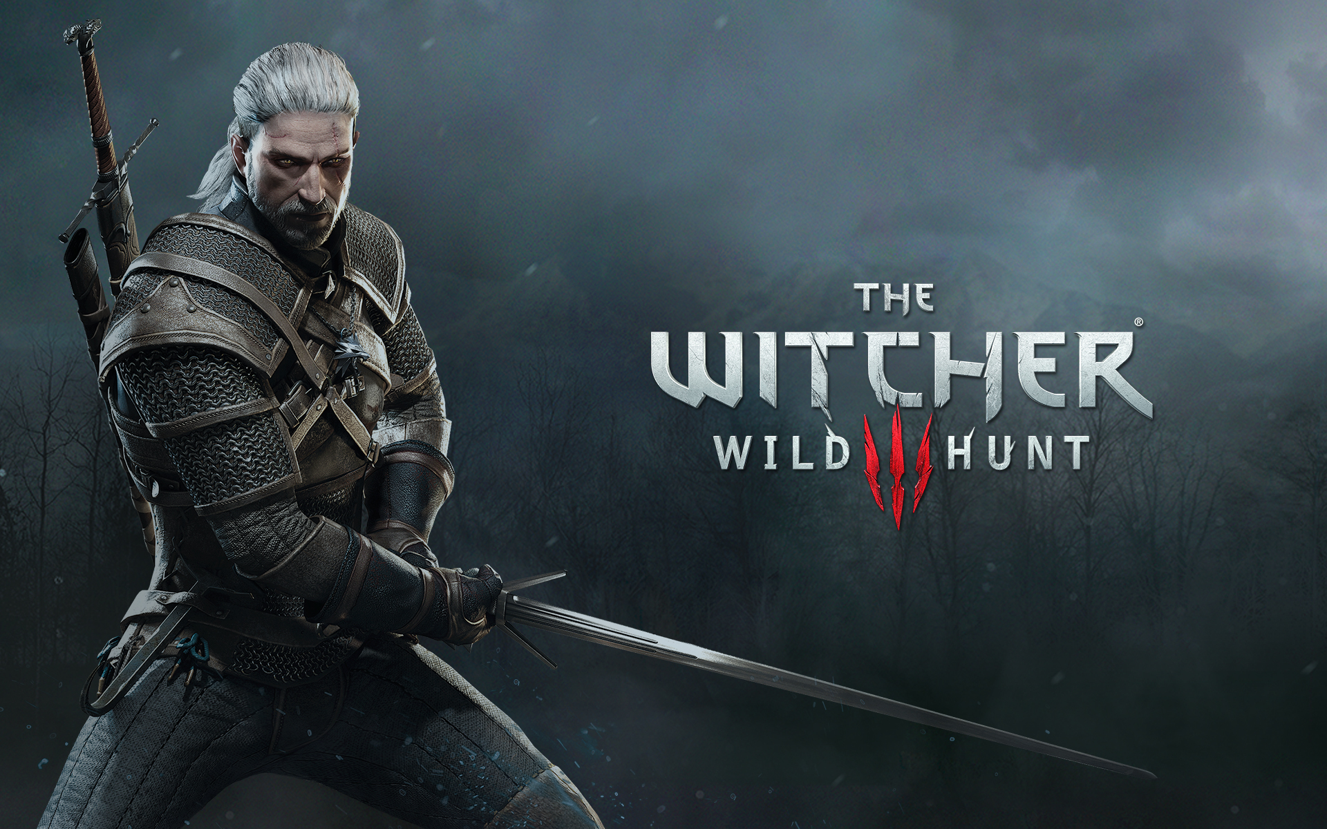 تصویری از بازی The Witcher 3: Wild Hunt