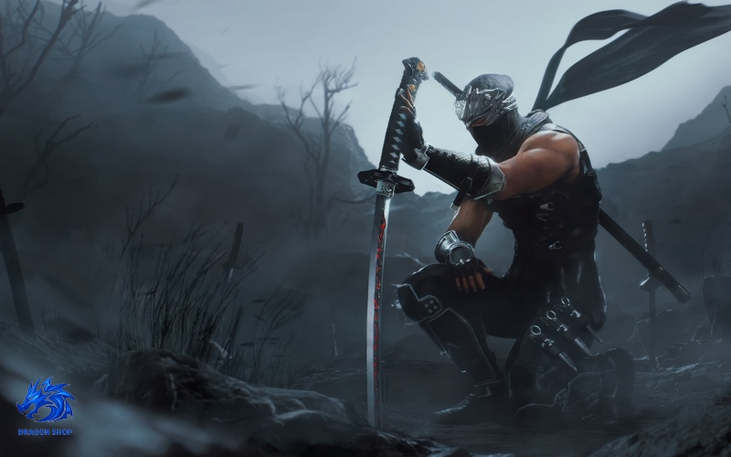 خرید اینترنتی دیسک بازی Ninja Gaiden 2 Black برای PS5