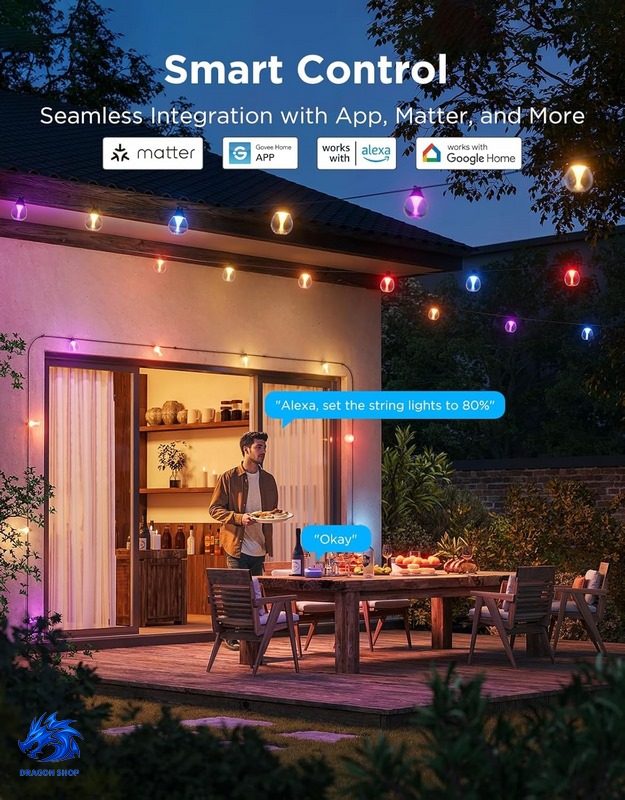 لامپ هوشمند ریسه ای Govee Outdoor Clear Bulb String Lights H7025 لامپ هوشمند ریسه ای Govee Outdoor Clear Bulb String Lights H7025