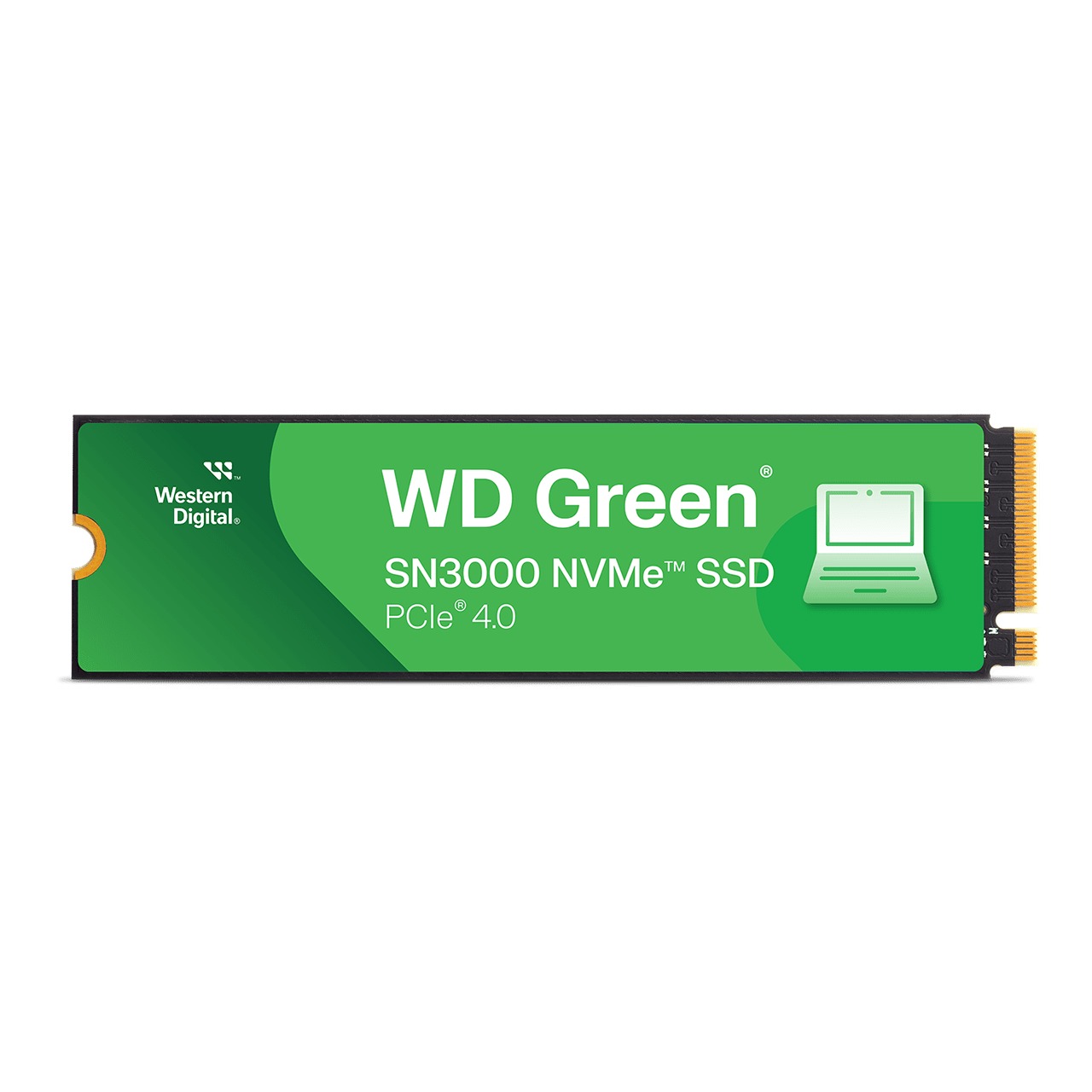 اس اس دی SSD Western Digital Sn3000 Green 1TB