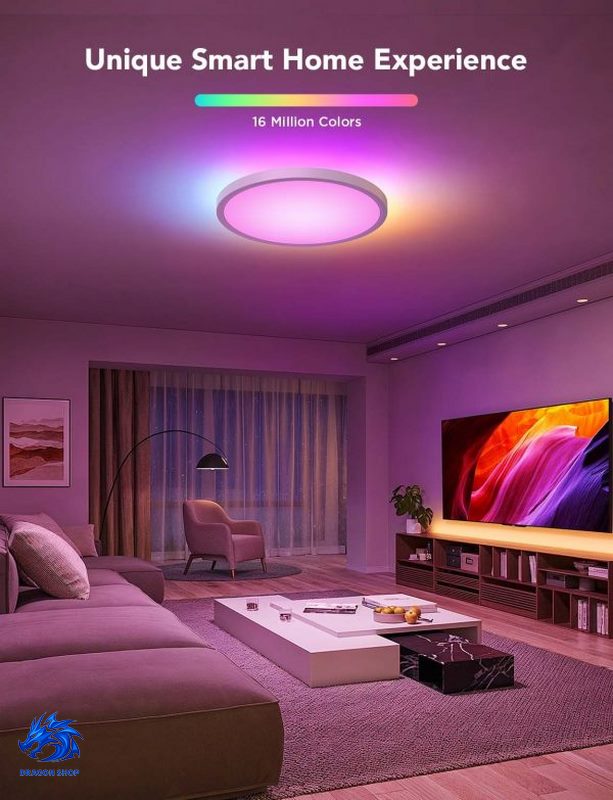 چراغ سقفی هوشمند 30 سانتی Govee Smart Ceiling Light 1S H80A1 چراغ سقفی هوشمند 30 سانتی Govee Smart Ceiling Light 1S H80A1
