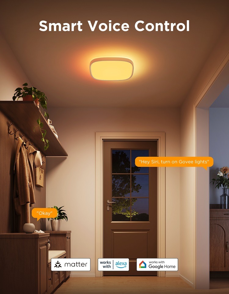چراغ سقفی هوشمند 30 سانتی Govee Smart Square Ceiling Light H80A4
