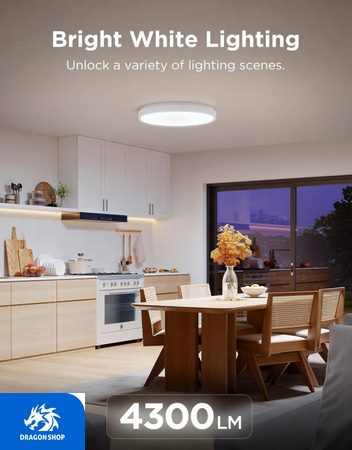 خرید اینترنتی چراغ سقفی هوشمند 38 سانتی Govee Smart Ceiling Light Pro H60A6