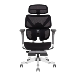 صندلی گیمینگ ارگونومیک Emerald