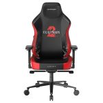 صندلی گیمینگ DXRacer Craft Series 2025 XL Guild Wars 2